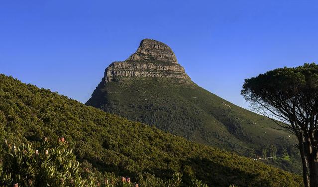 Lion's Head